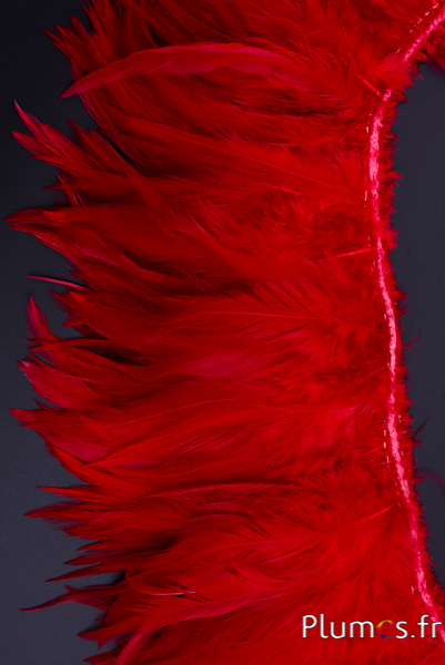 Frange coq - long. plumes 10-15 cm - carmin